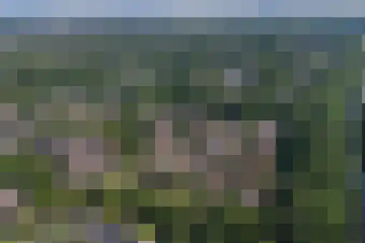 Stekelbaars 11 Leusden thumbnail 35