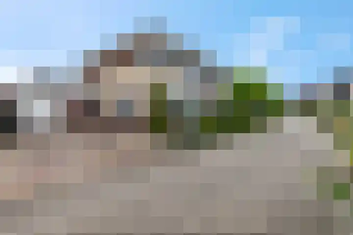 Stekelbaars 11 Tiel thumbnail 13