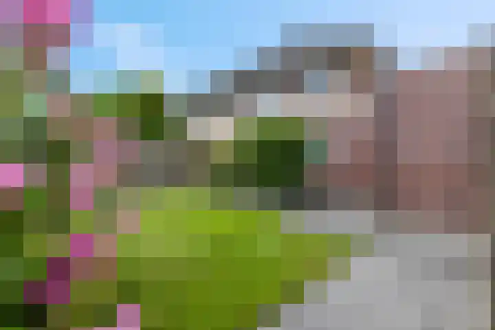 Stekelbaars 11 Tiel thumbnail 14