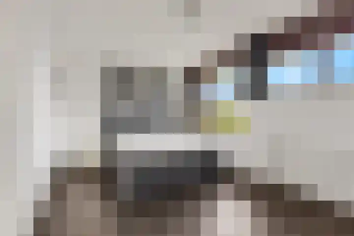 Stekelbaars 11 Tiel thumbnail 15