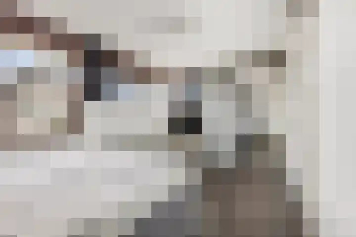 Stekelbaars 11 Tiel thumbnail 16