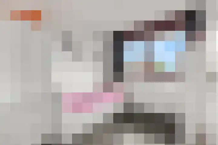 Stekelbaars 11 Tiel thumbnail 18