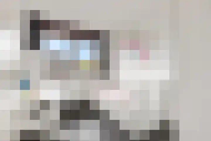 Stekelbaars 11 Tiel thumbnail 20