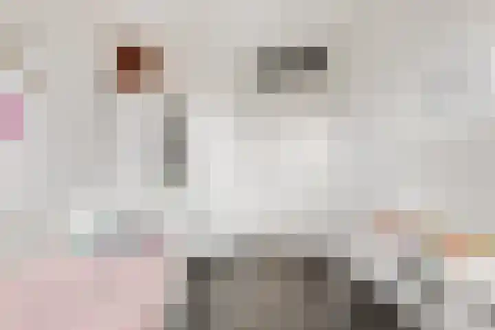 Stekelbaars 11 Tiel thumbnail 21