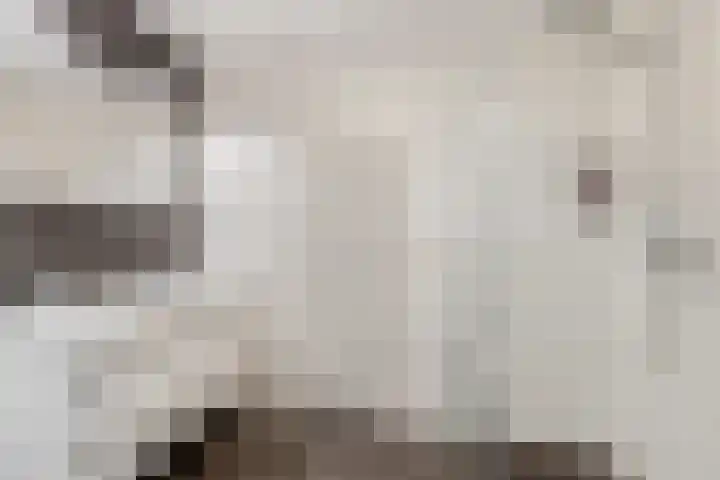 Stekelbaars 11 Tiel thumbnail 22