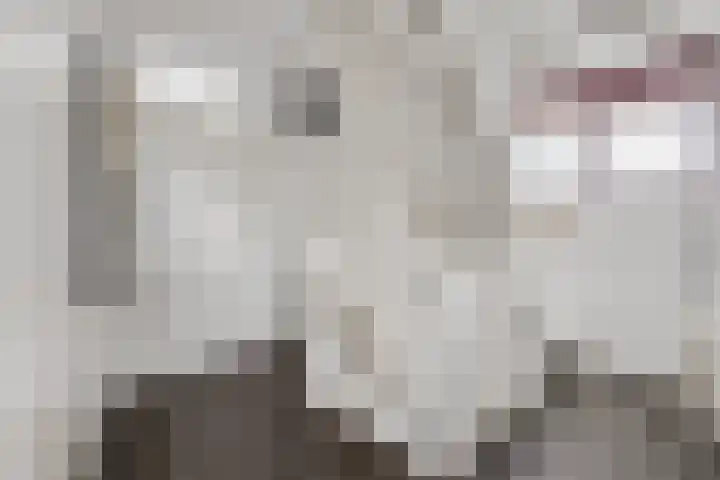 Stekelbaars 11 Tiel thumbnail 24