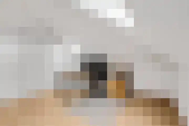 Stekelbaars 11 Tiel thumbnail 25