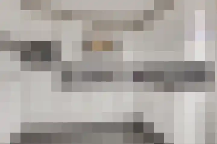 Stekelbaars 11 Tiel thumbnail 32