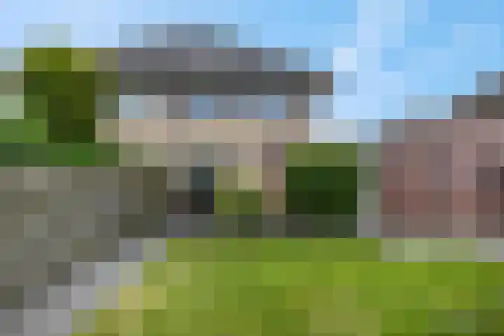 Stekelbaars 11 Tiel thumbnail 33