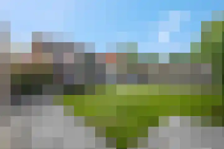 Stekelbaars 11 Tiel thumbnail 34