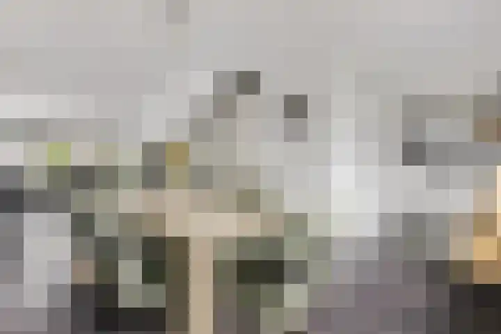 Stekelbaars 11 Tiel thumbnail 8