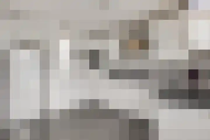 Stekelbaars 11 Tiel thumbnail 9