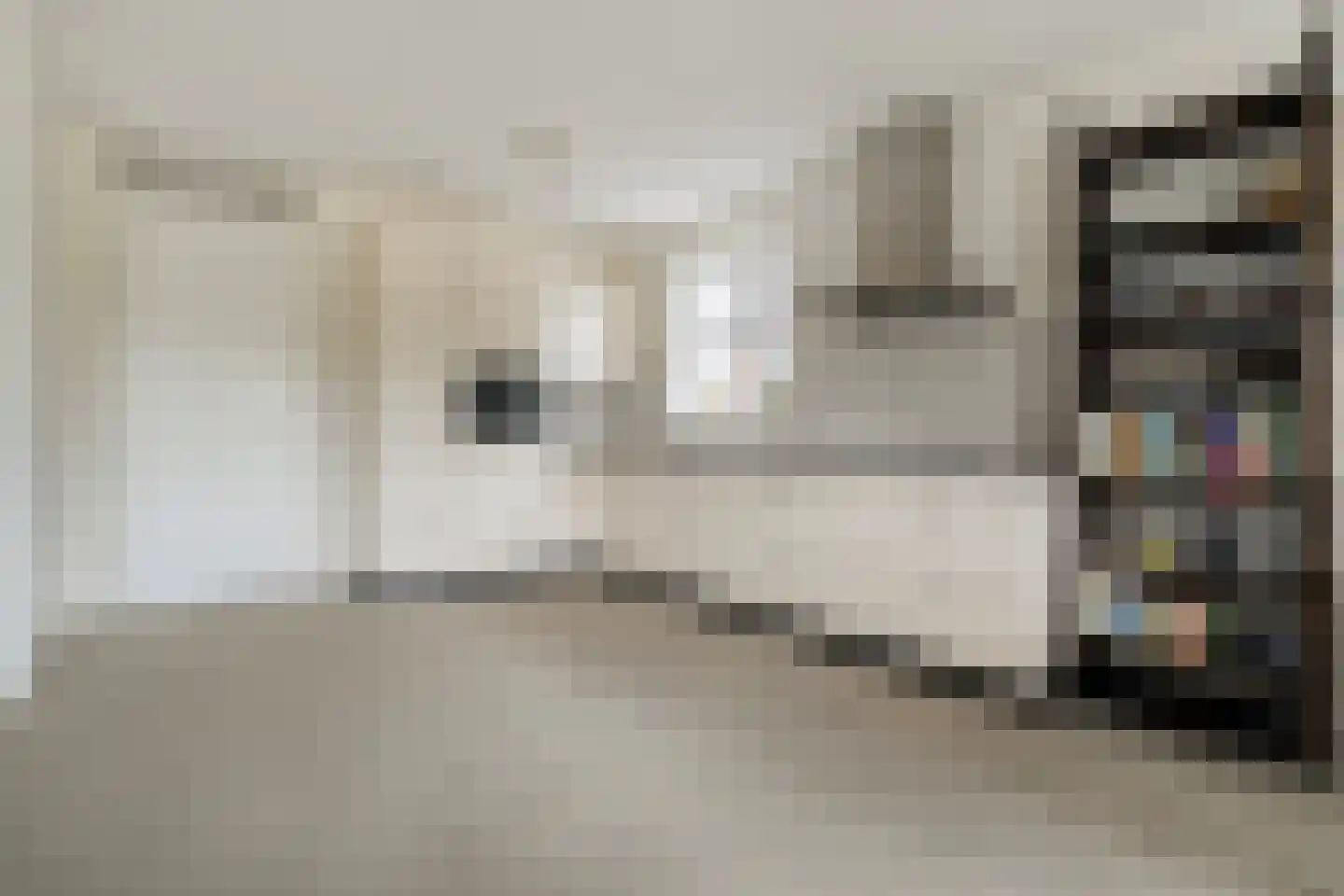 Stekelbaars 15 A Nieuwleusen thumbnail 28
