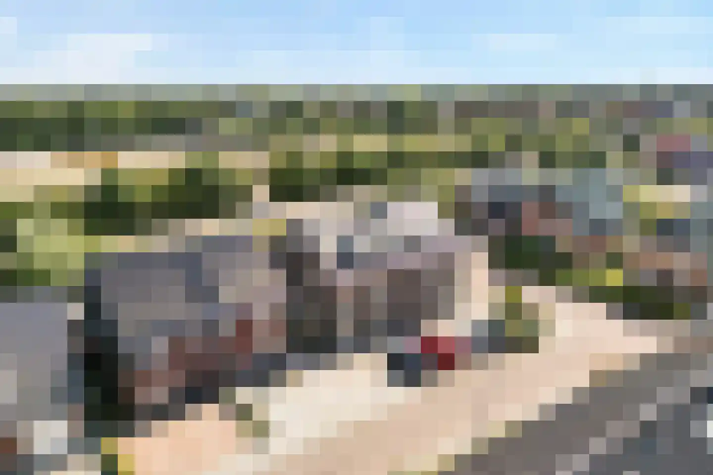 Stekelbaars 15 A Nieuwleusen thumbnail 4