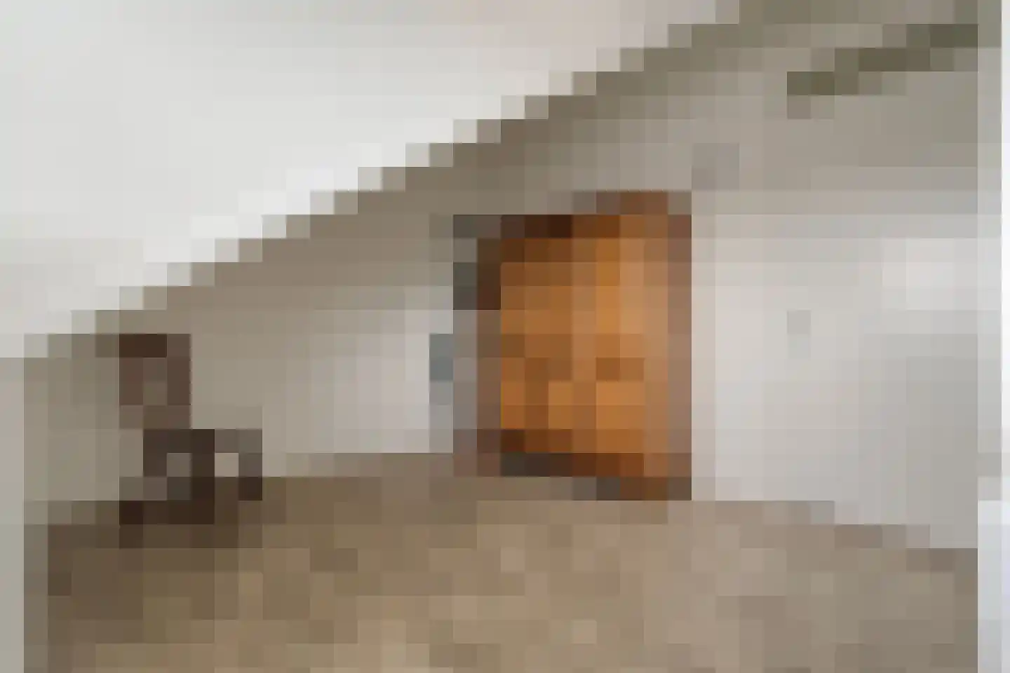 Stekelbaars 15 A Nieuwleusen thumbnail 44