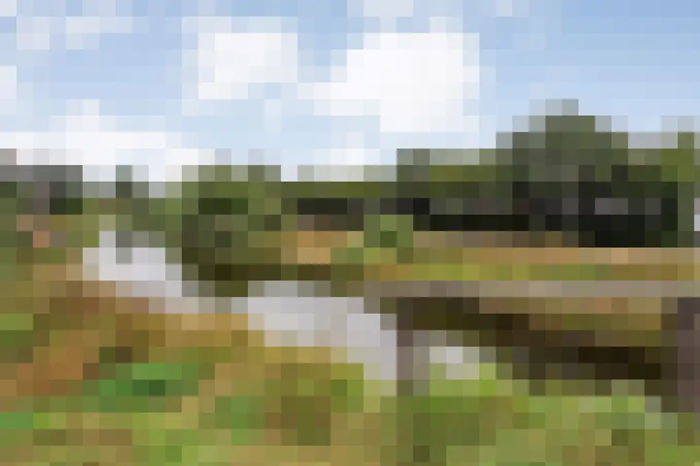 Stekelbaars 15 A Nieuwleusen thumbnail 6