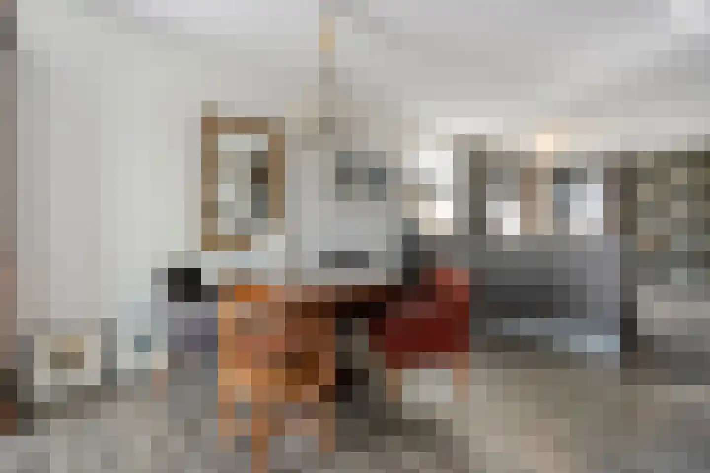 Stekelbaars 15 C Nieuwleusen thumbnail 19