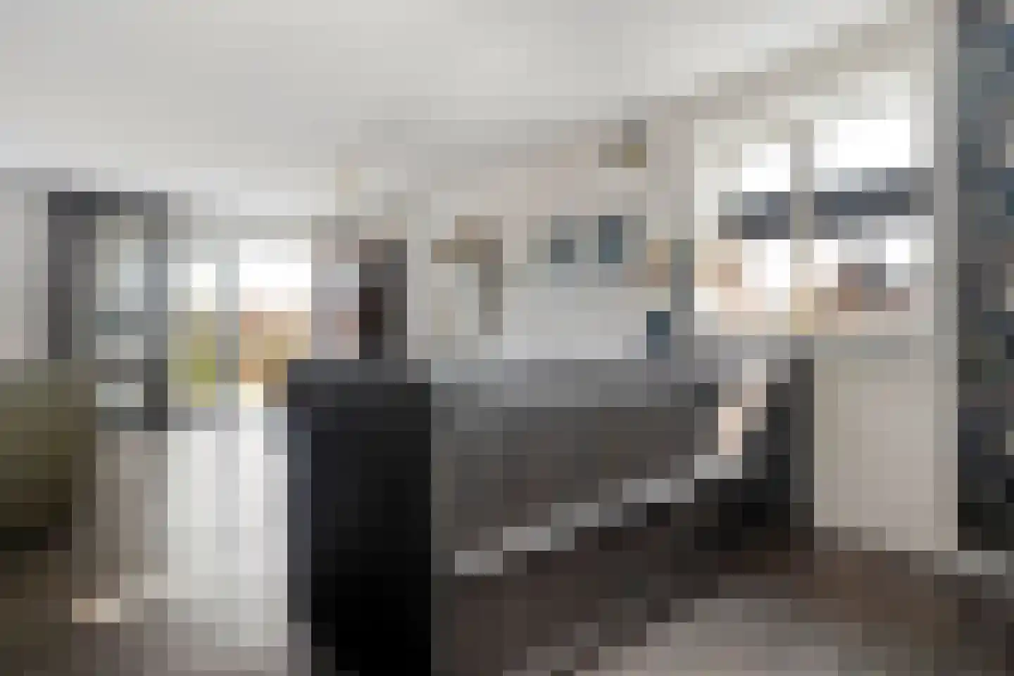 Stekelbaars 15 C Nieuwleusen thumbnail 22