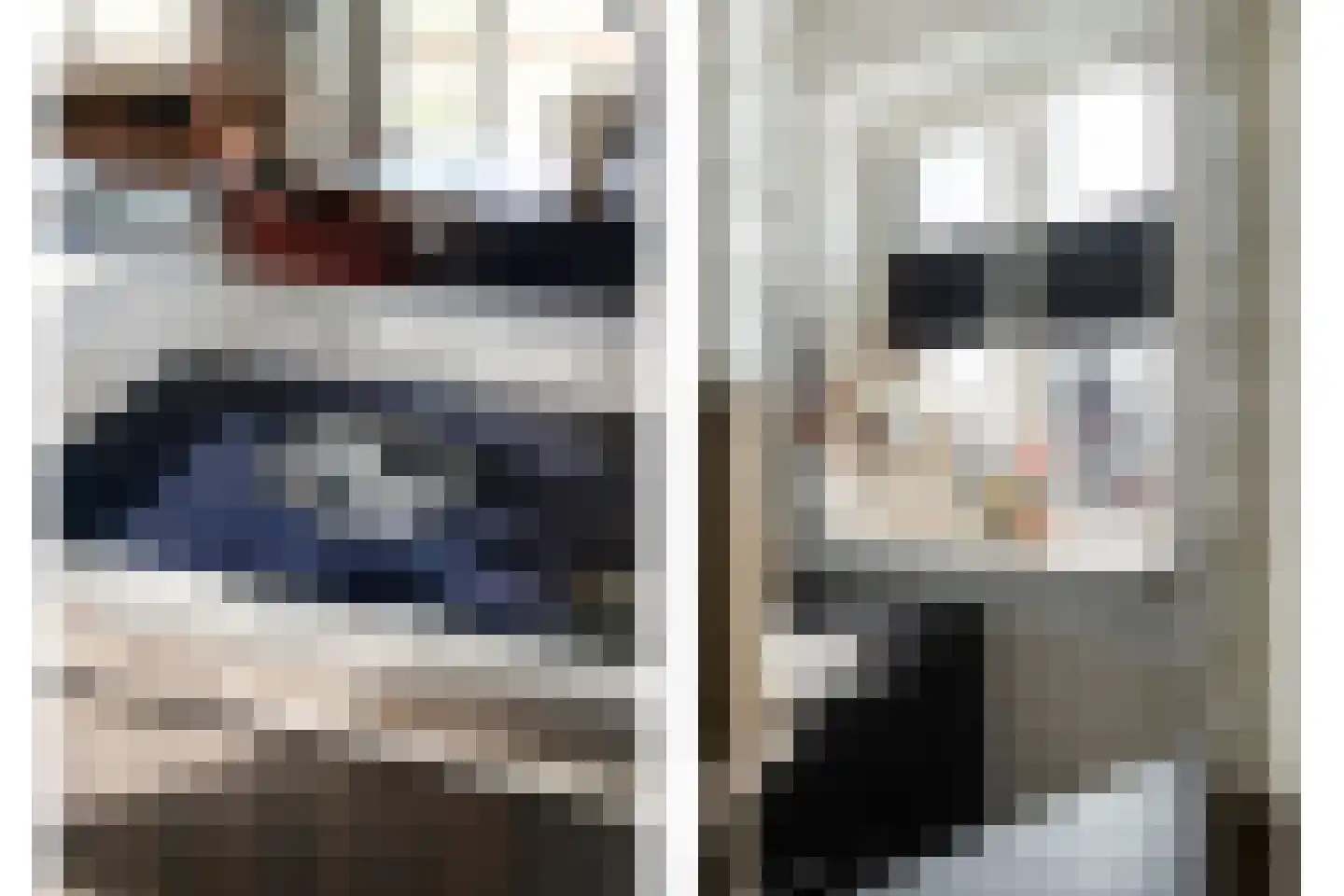 Stekelbaars 15 C Nieuwleusen thumbnail 23