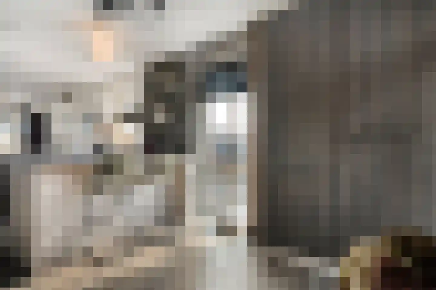 Stekelbaars 15 C Nieuwleusen thumbnail 24