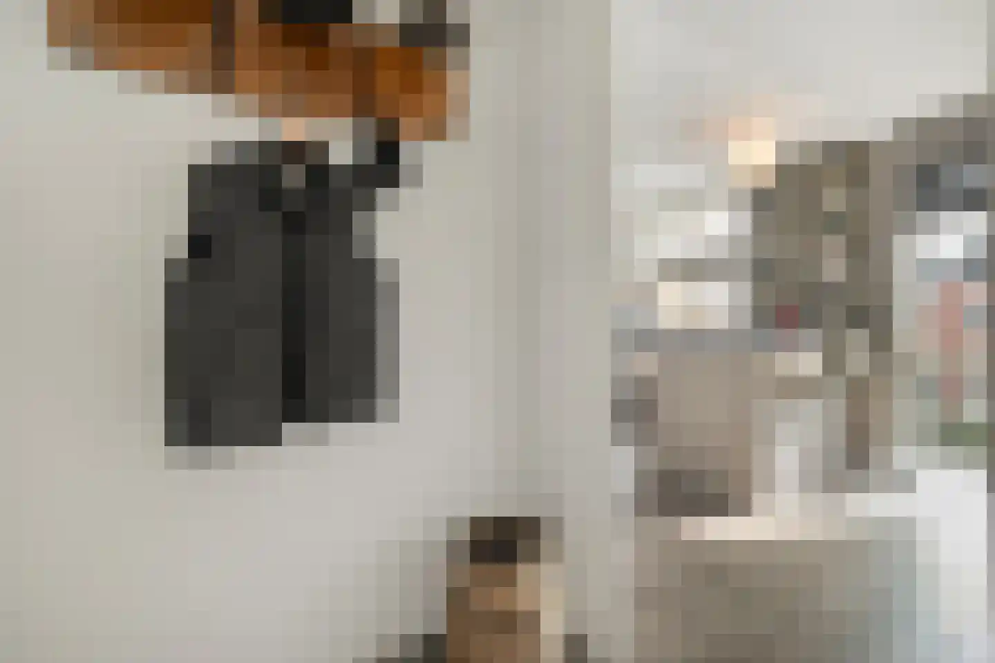 Stekelbaars 15 C Nieuwleusen thumbnail 27