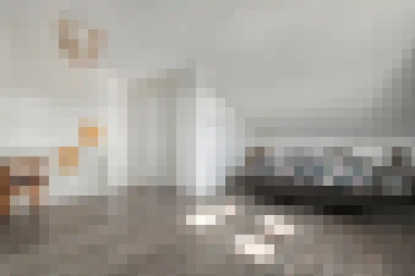 Stekelbaars 15 C Nieuwleusen thumbnail 31