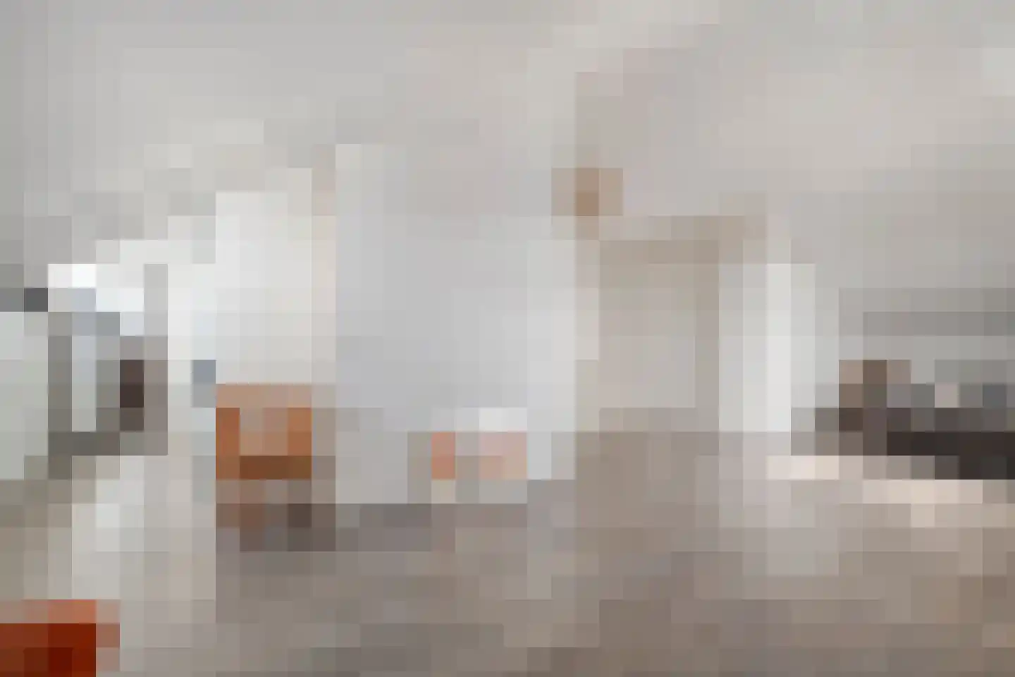 Stekelbaars 15 C Nieuwleusen thumbnail 33