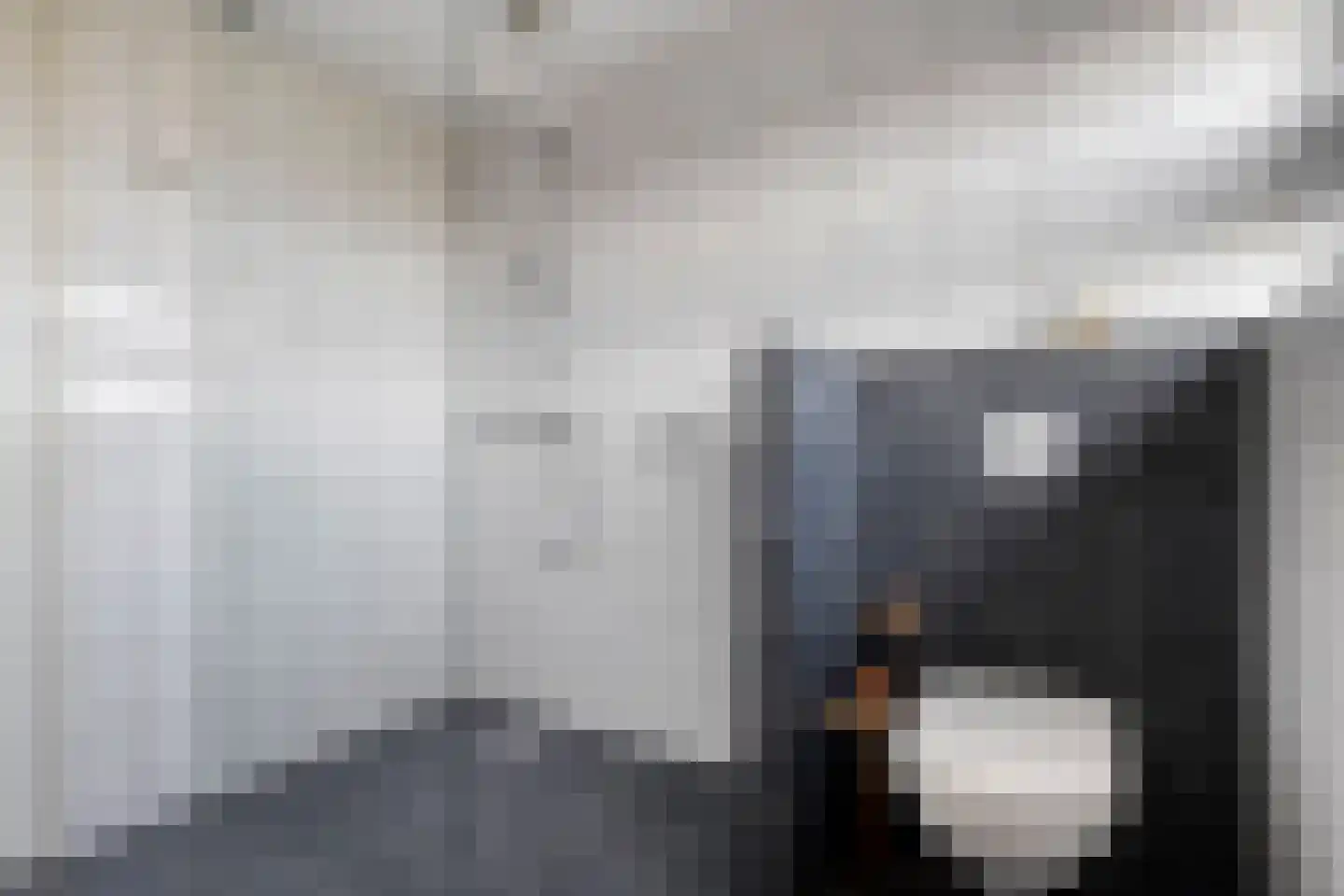 Stekelbaars 15 C Nieuwleusen thumbnail 37