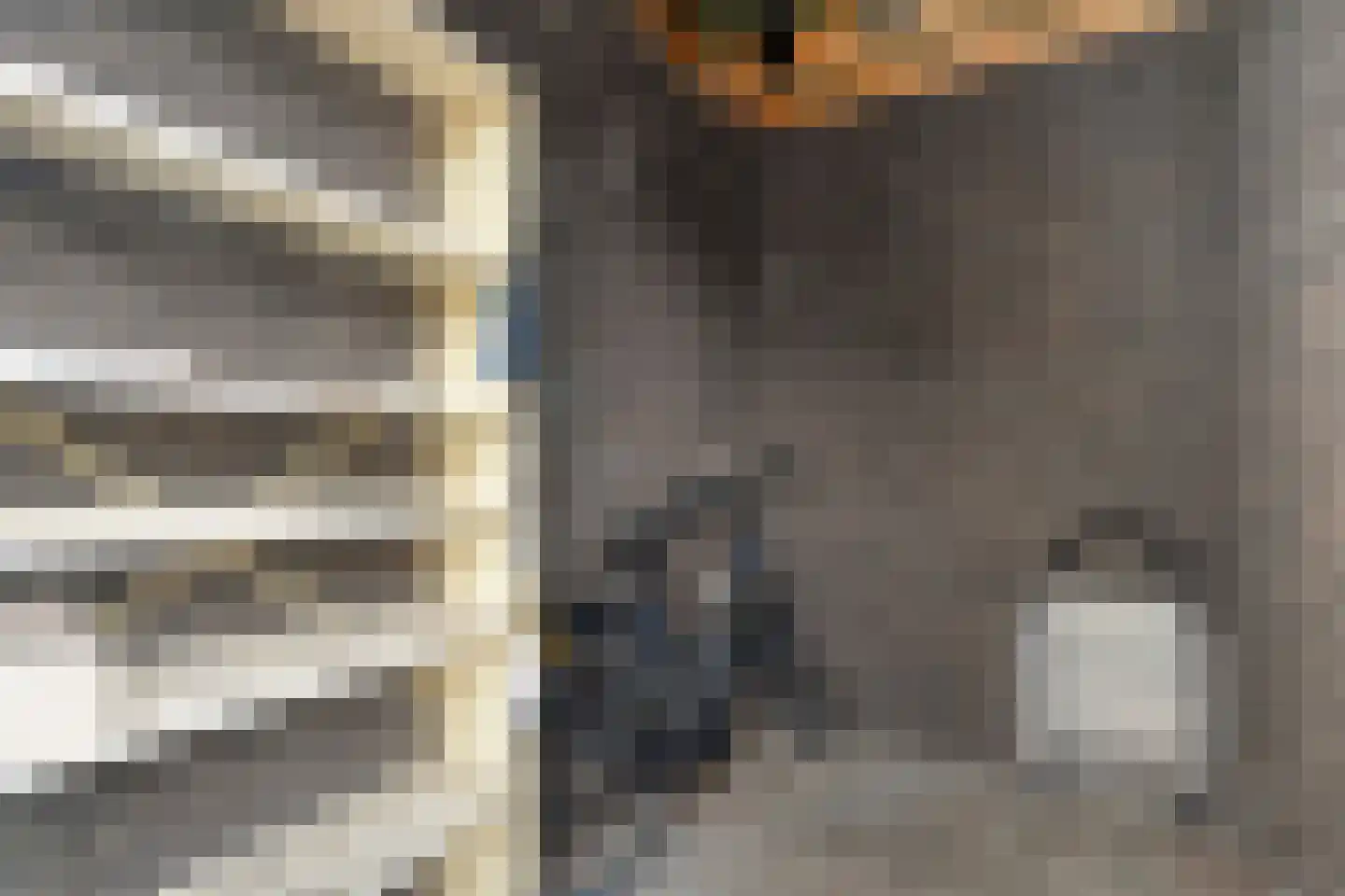 Stekelbaars 15 C Nieuwleusen thumbnail 41