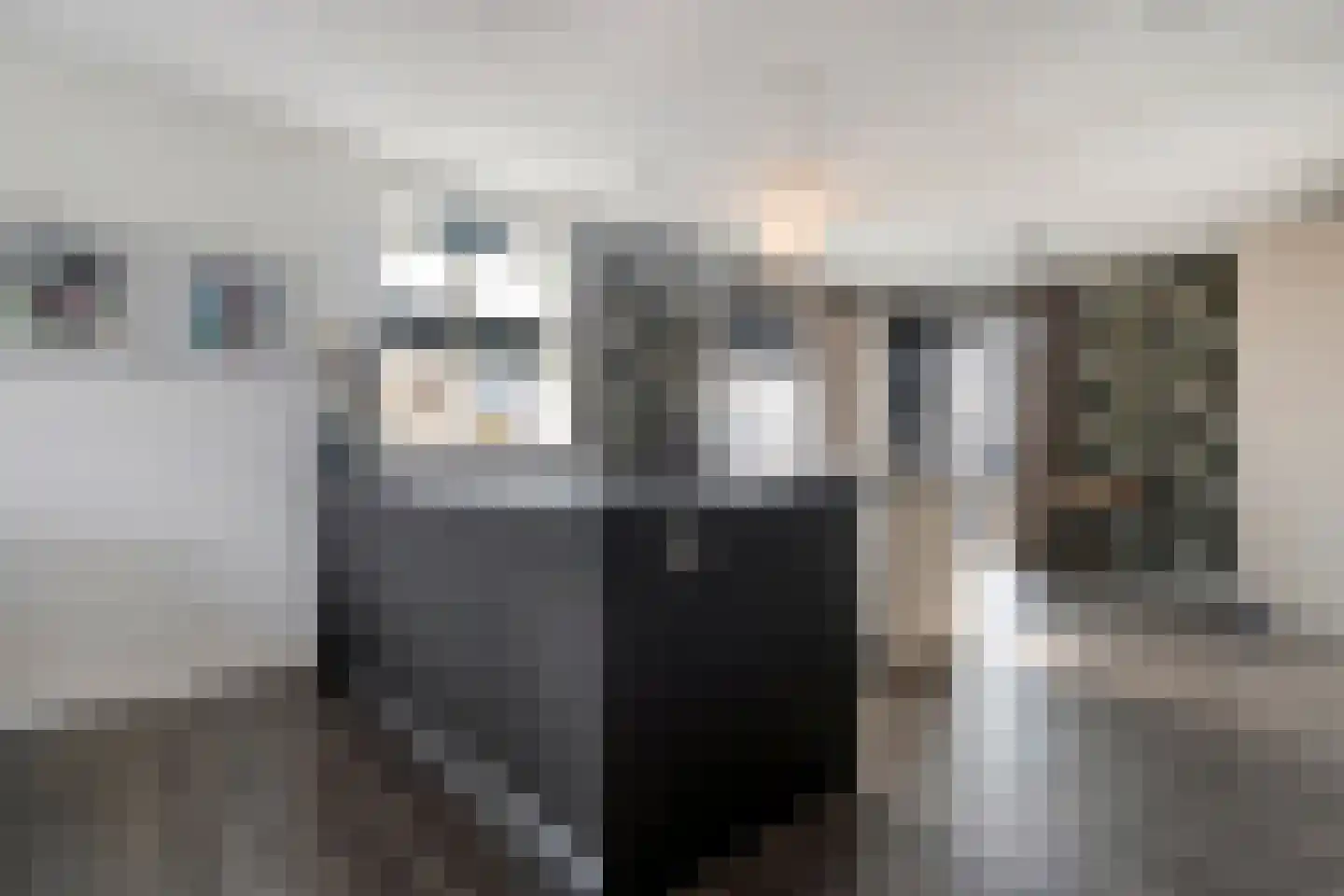 Stekelbaars 15 C Nieuwleusen thumbnail 6