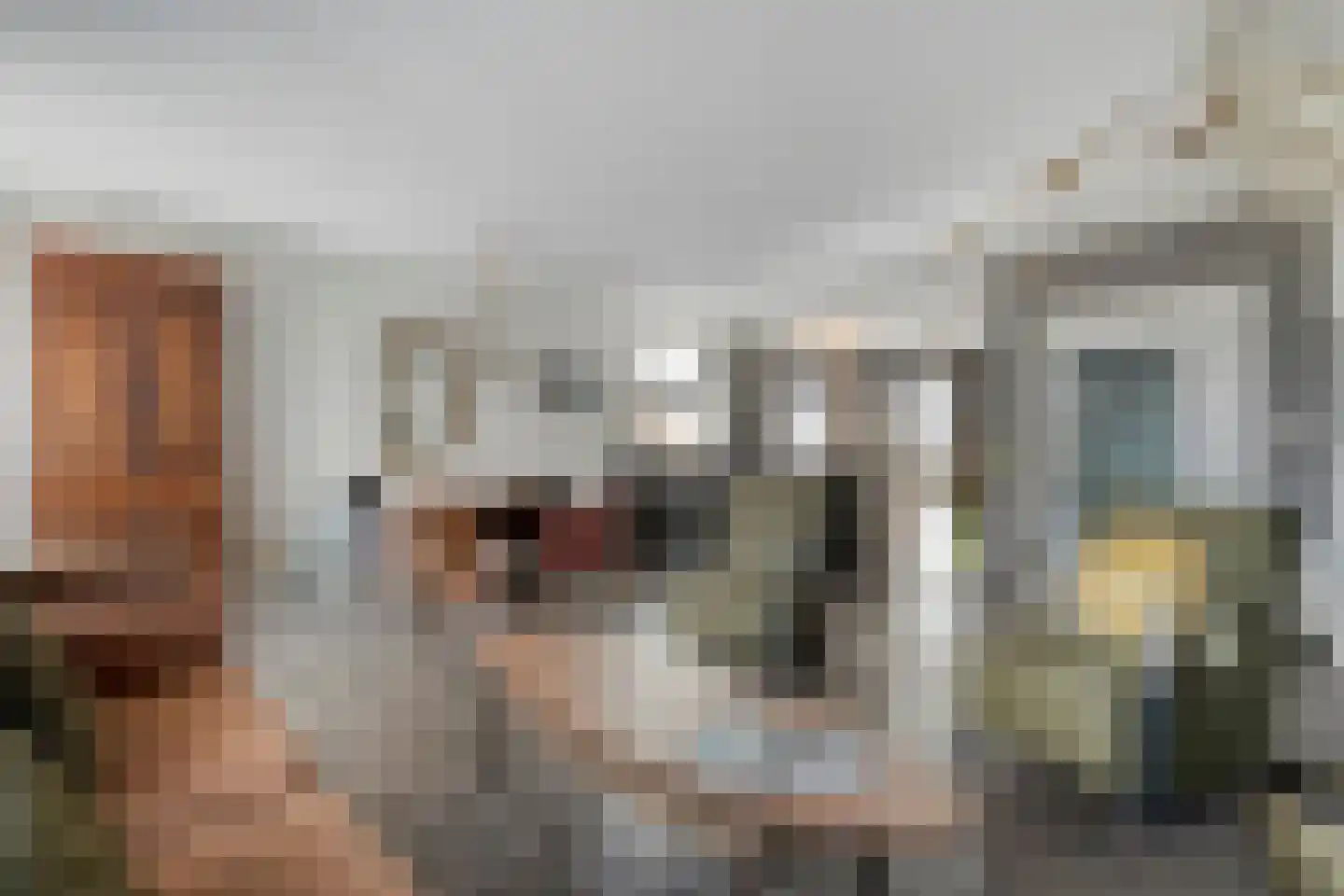 Stekelbaars 15 C Nieuwleusen thumbnail 8