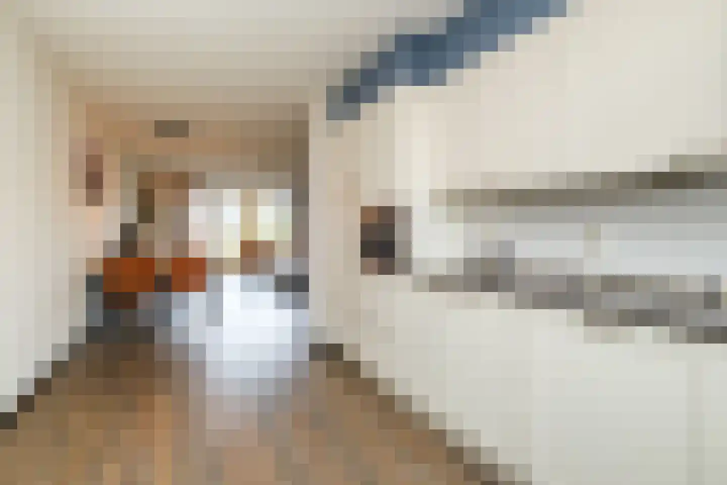 Stekelbaars 4 Nieuwleusen thumbnail 11