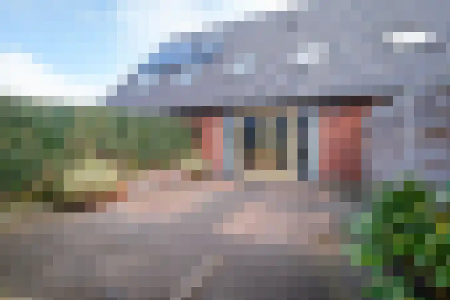 Stekelbaars 4 Nieuwleusen thumbnail 21