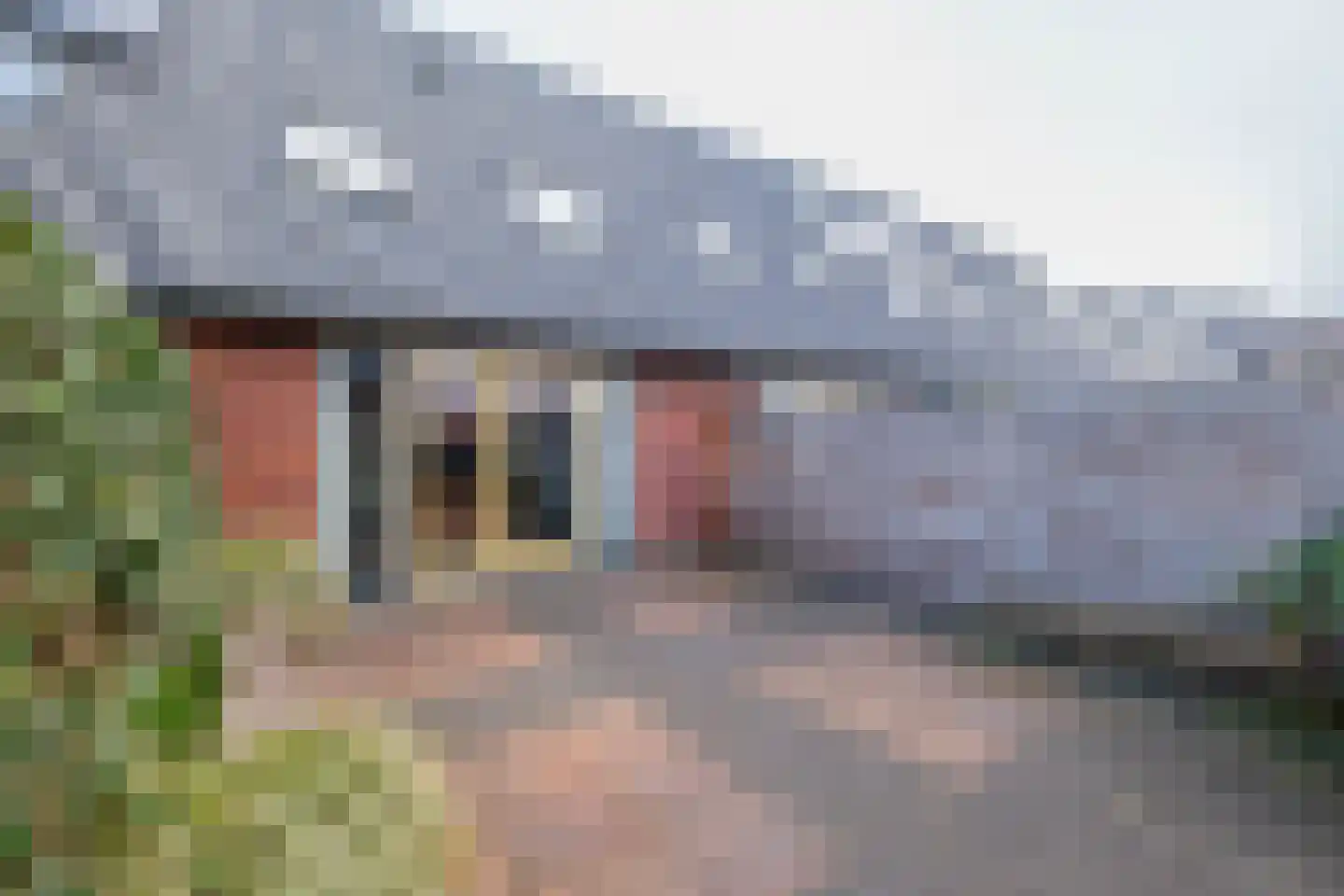 Stekelbaars 4 Nieuwleusen thumbnail 22