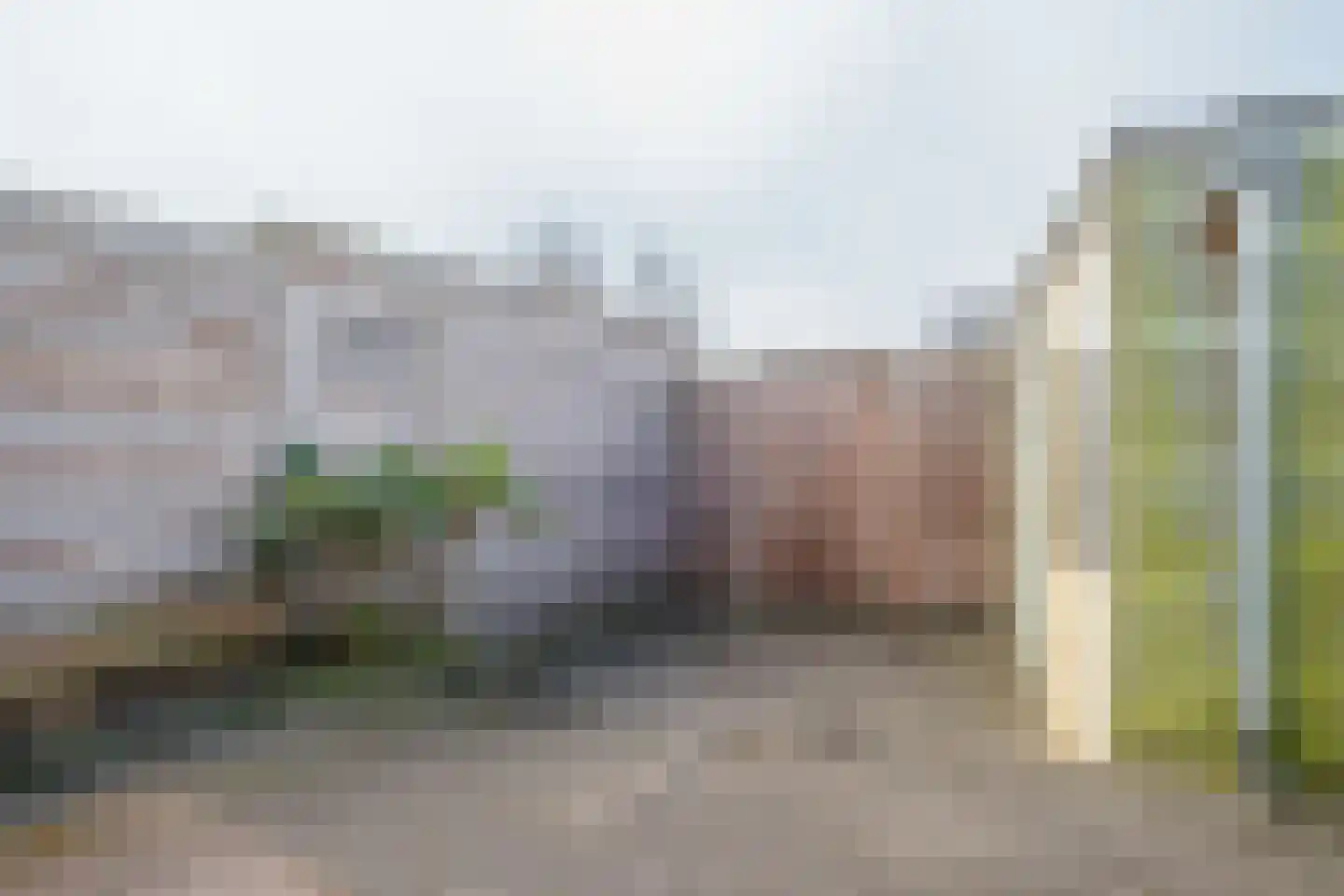 Stekelbaars 4 Nieuwleusen thumbnail 23