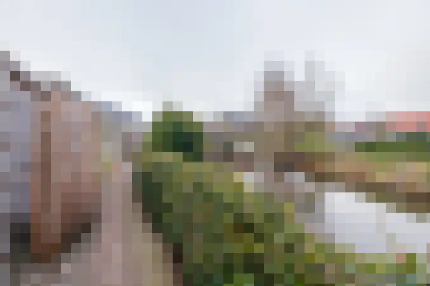 Stekelbaars 4 Nieuwleusen thumbnail 27