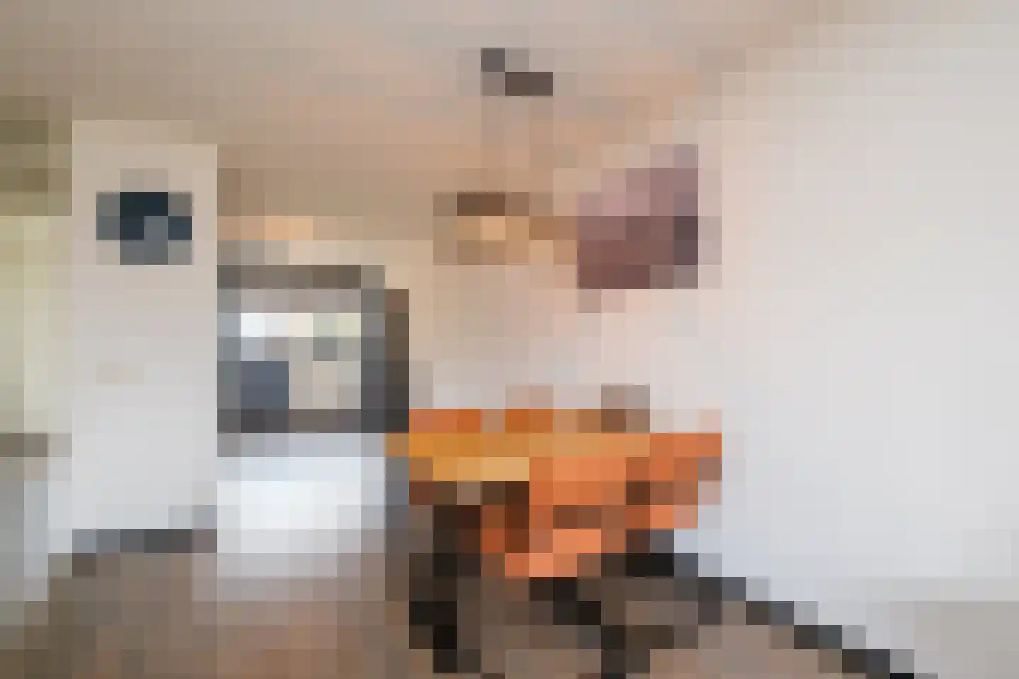 Stekelbaars 4 Nieuwleusen thumbnail 9