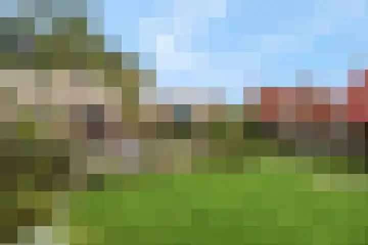 Stekelbaars 56 Tiel thumbnail 36