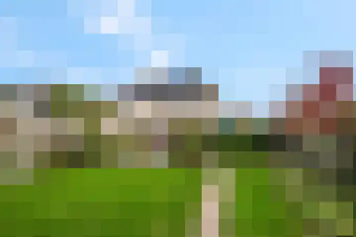 Stekelbaars 56 Tiel thumbnail 37