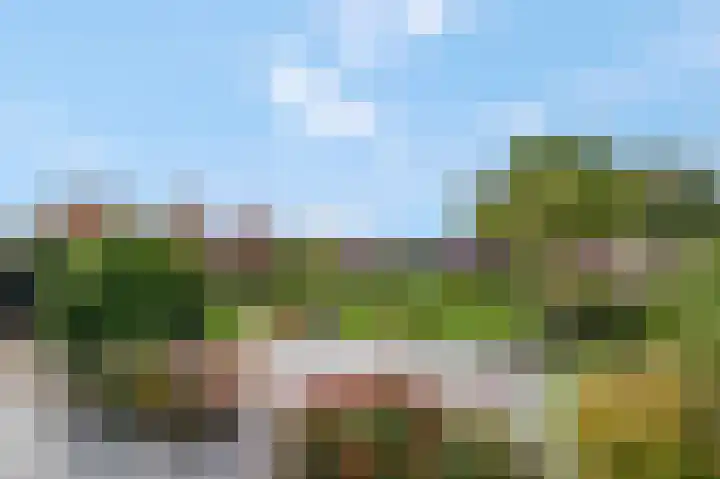 Stekelbaars 56 Tiel thumbnail 5