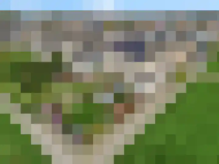 Stekelbaars 56 Tiel thumbnail 6