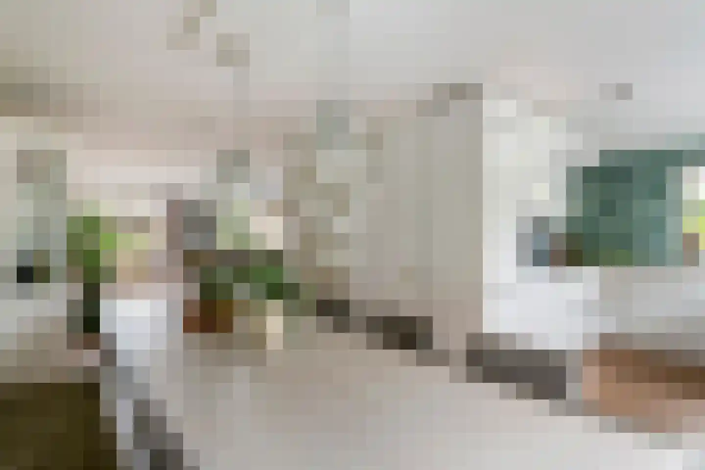 Stekelbaars 58 Tiel thumbnail 18