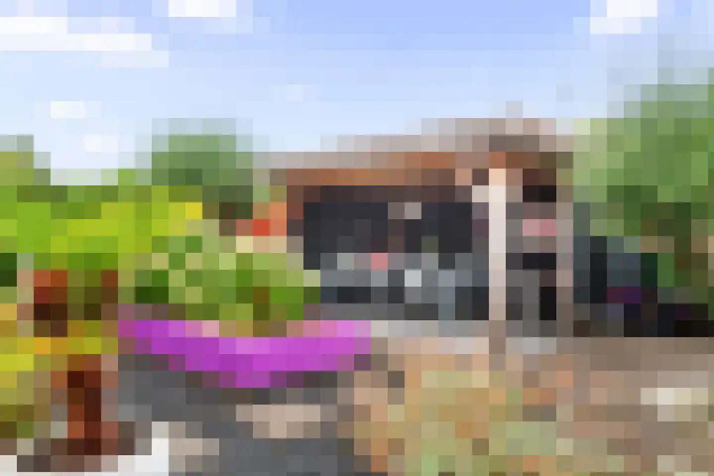 Stekelbaars 58 Tiel thumbnail 28