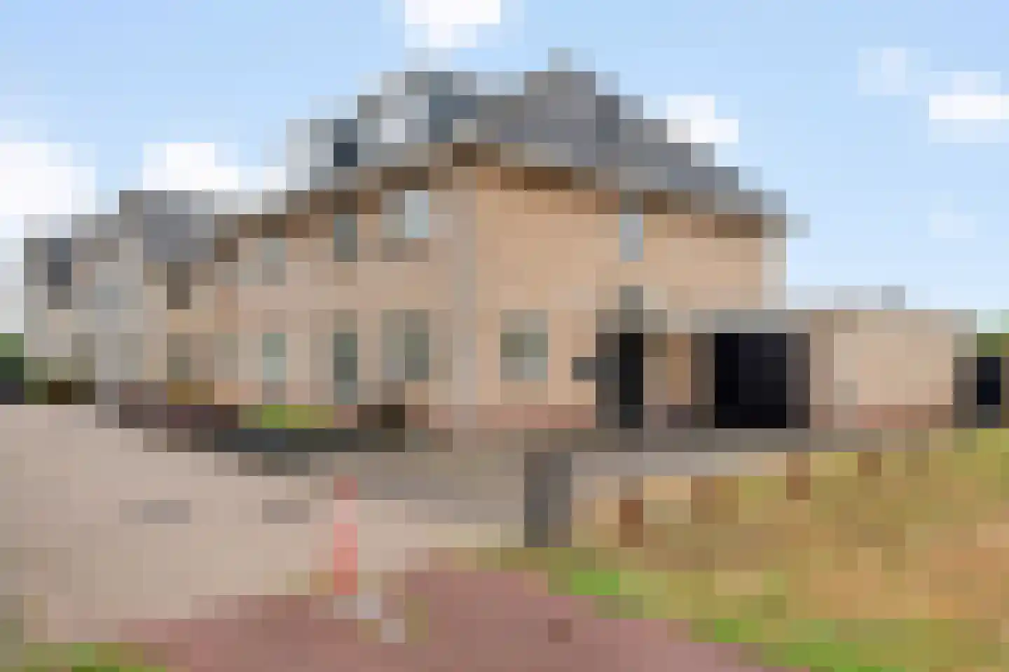 Stekelbaars 58 Tiel thumbnail 6