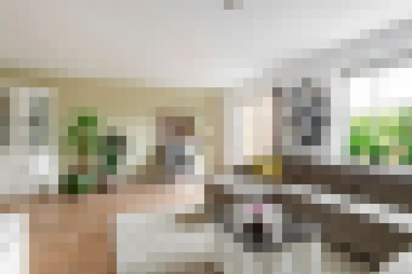 Stekelbaars 58 Tiel thumbnail 7