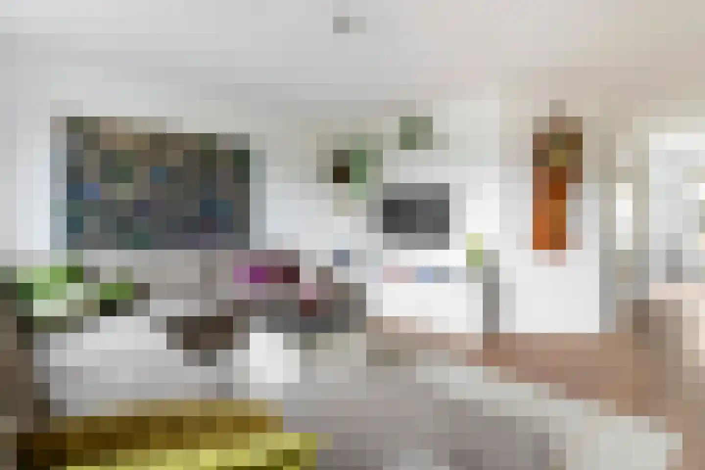 Stekelbaars 58 Tiel thumbnail 8