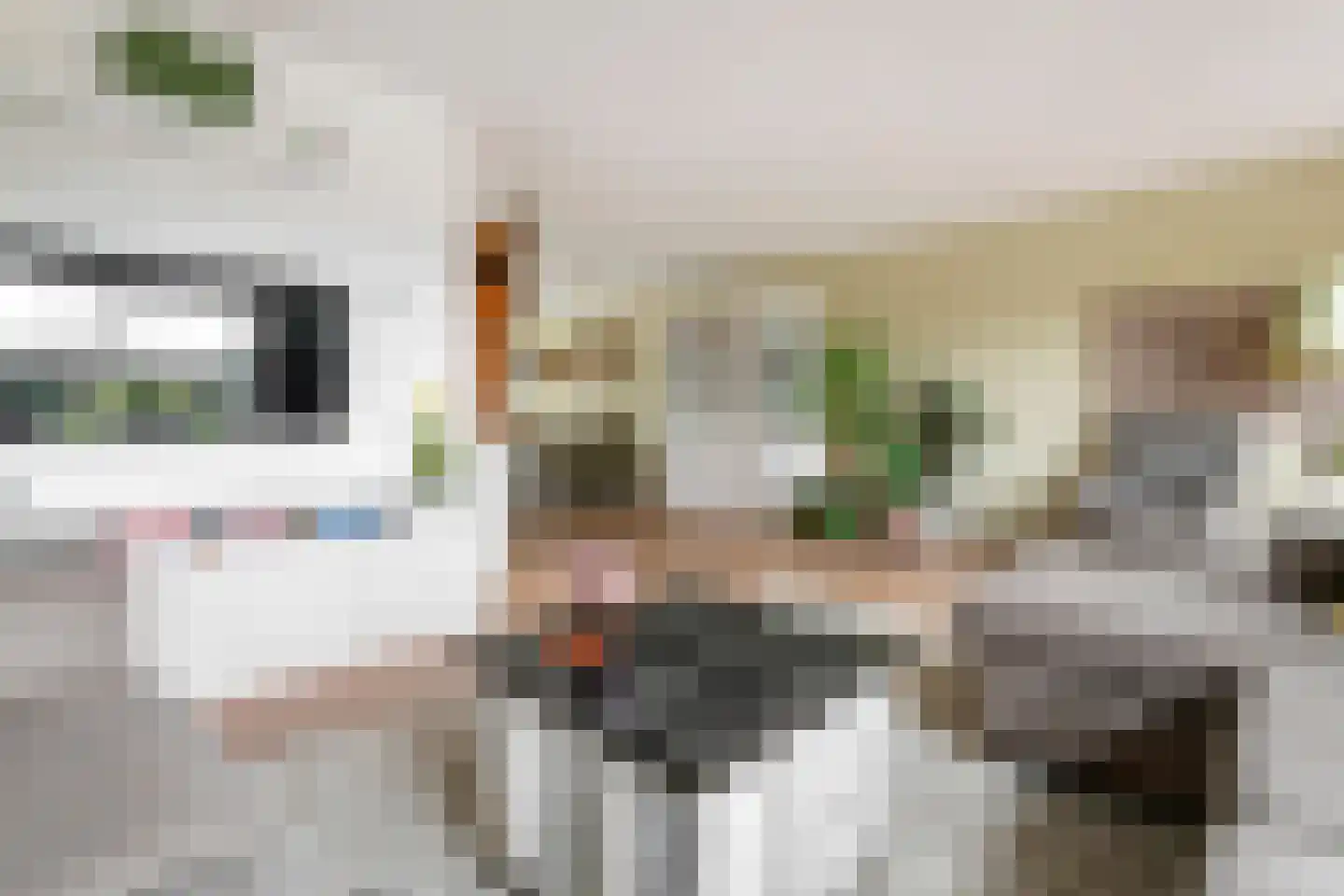 Stekelbaars 58 Tiel thumbnail 9
