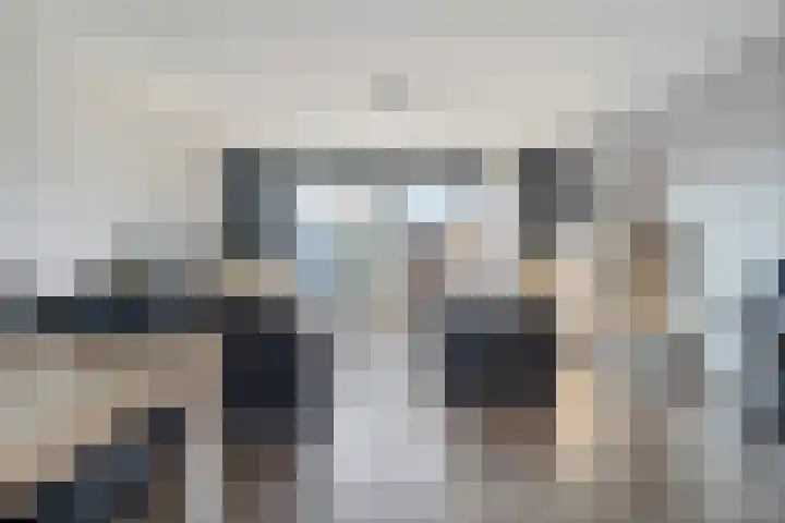 Stekelbaars 6 Nieuwleusen thumbnail 16