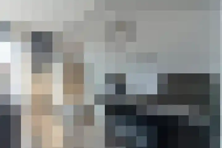 Stekelbaars 6 Nieuwleusen thumbnail 17