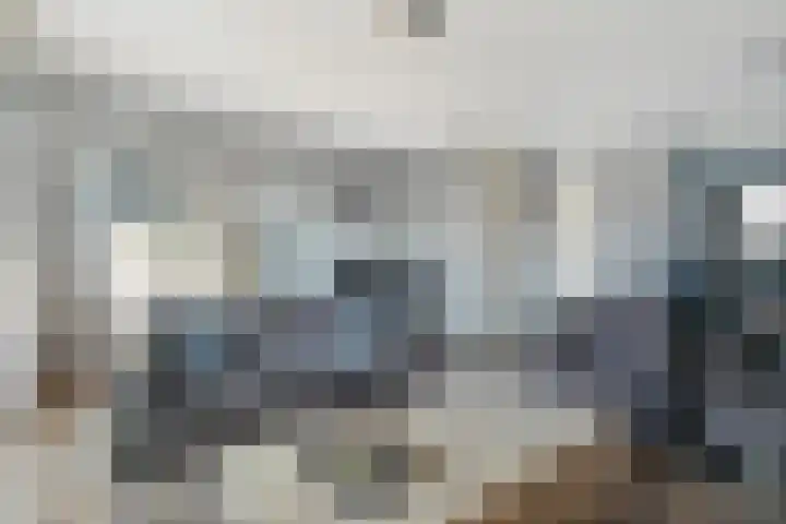 Stekelbaars 6 Nieuwleusen thumbnail 19